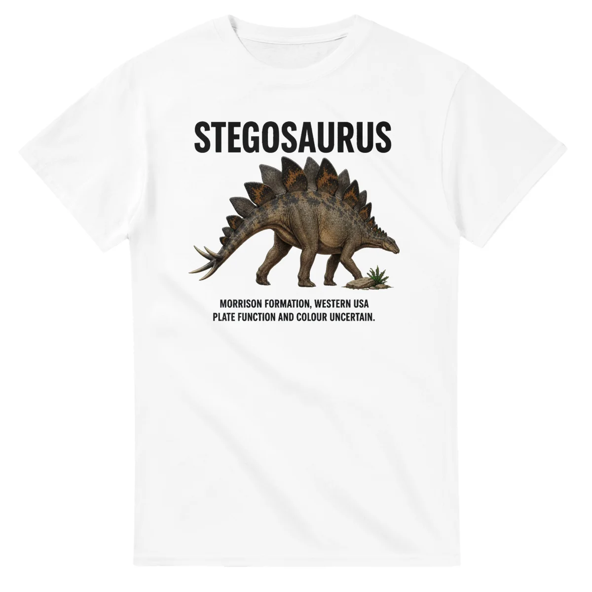 Stegosaurus - Artist's Impression