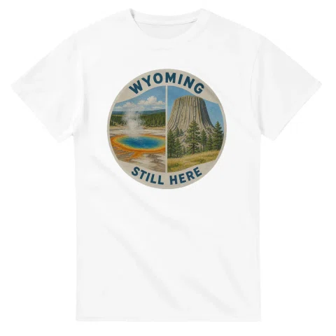 Painted, panelled scenic illustration for Wyoming, with paired local scenes and the place name in lettering.