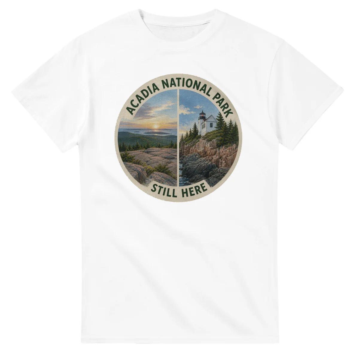Painted, panelled scenic illustration for Acadia National Park, with paired local scenes and the place name in lettering.