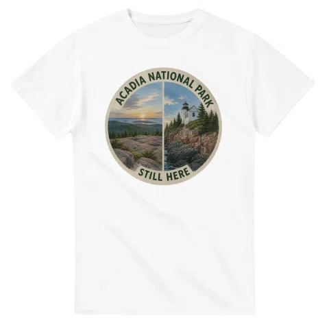 Painted, panelled scenic illustration for Acadia National Park, with paired local scenes and the place name in lettering.