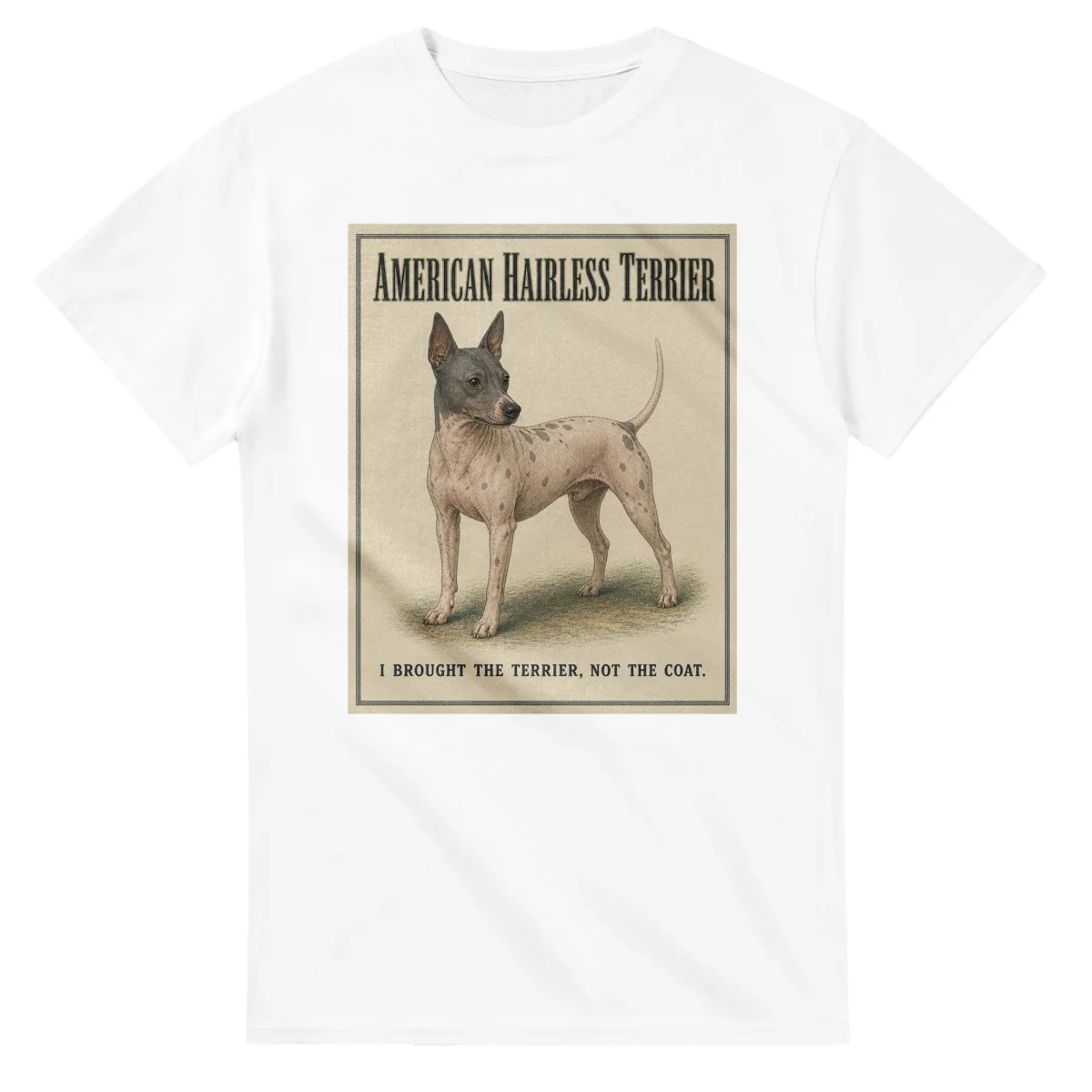 American Hairless Terrier - Well Bred