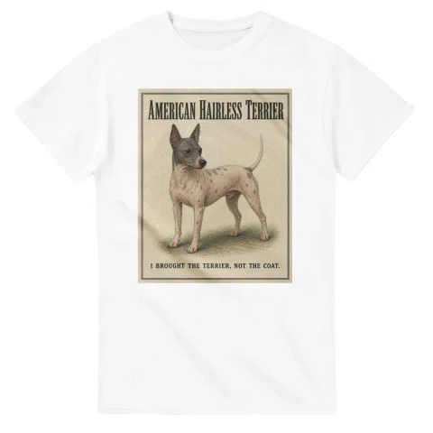 American Hairless Terrier - Well Bred