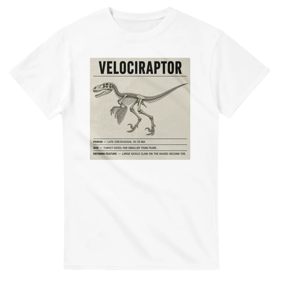Velociraptor - Set in Stone