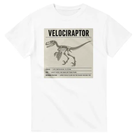 Velociraptor - Set in Stone