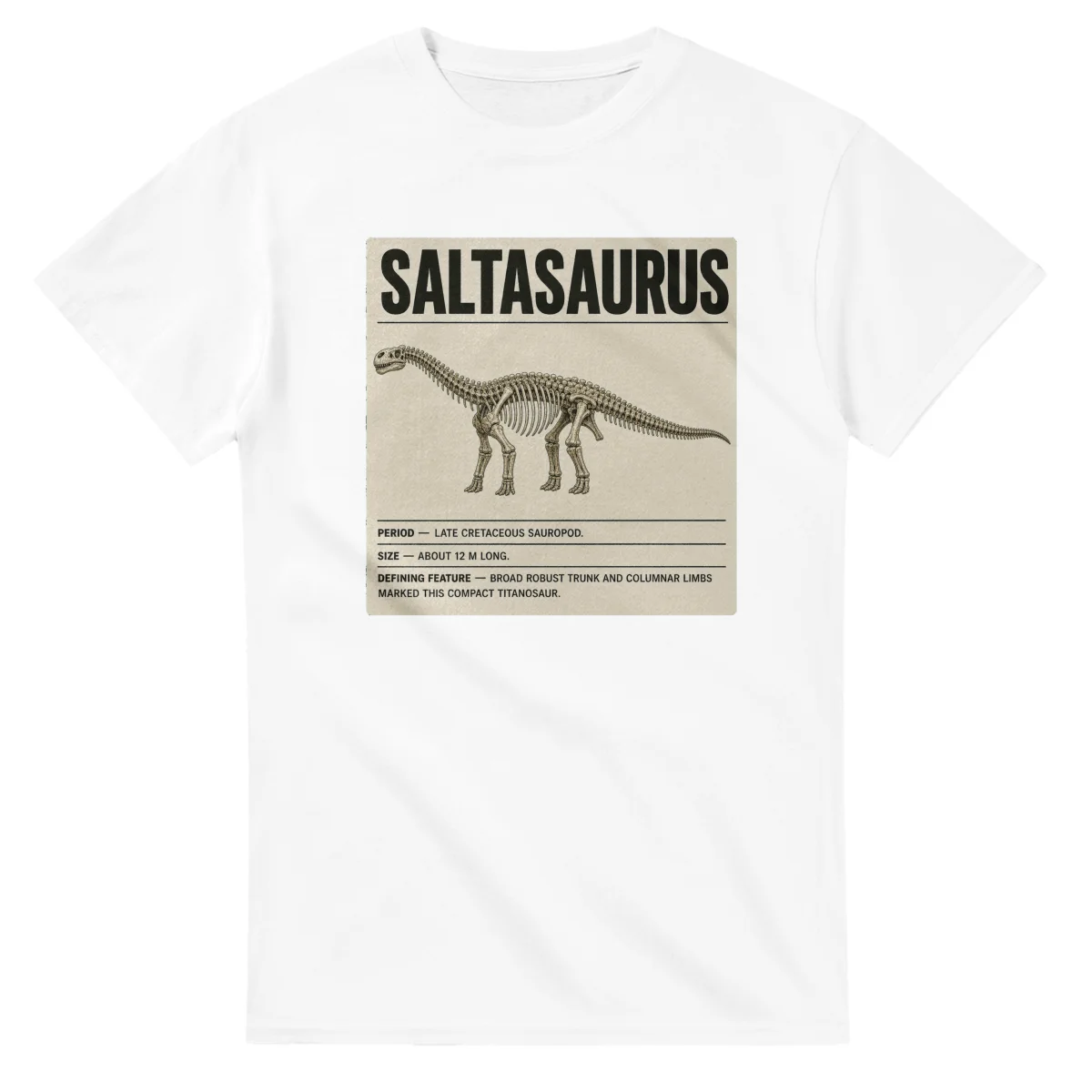 Saltasaurus - Set in Stone