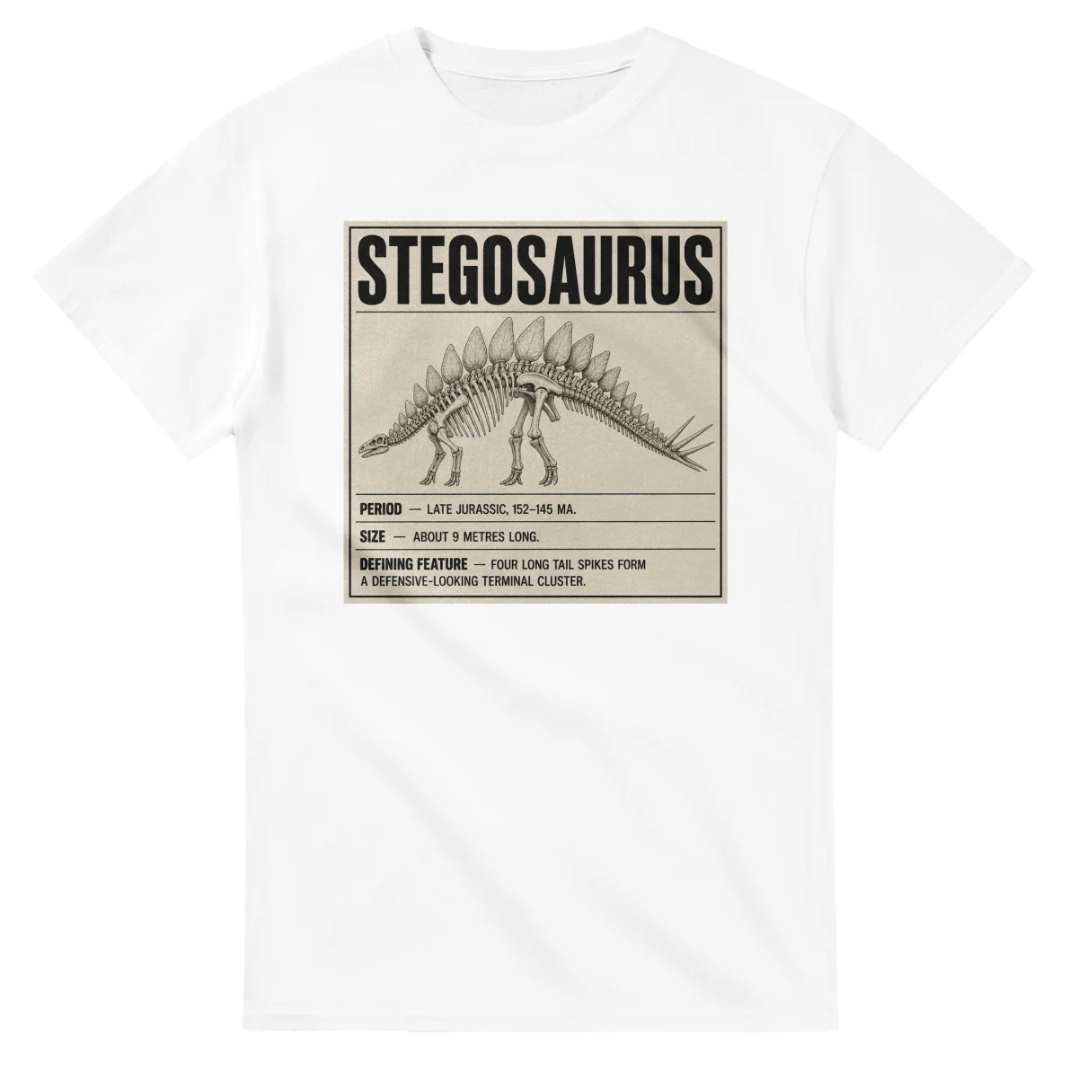 Stegosaurus - Set in Stone