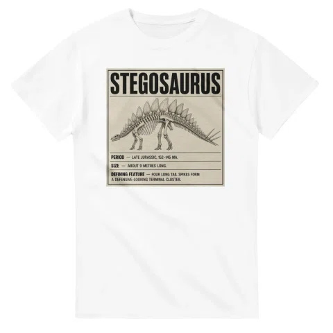 Stegosaurus - Set in Stone
