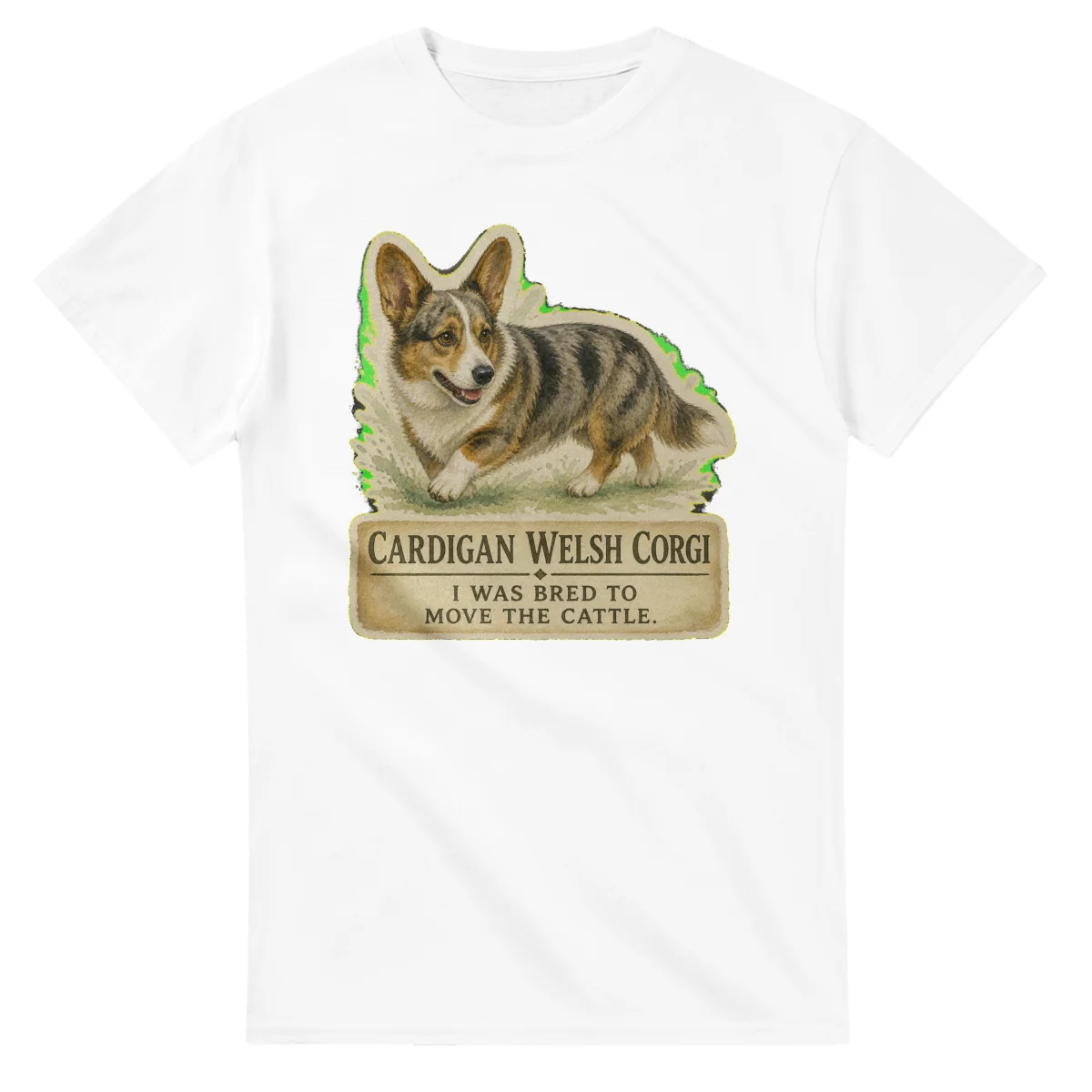 Cardigan Welsh Corgi - Working Roots