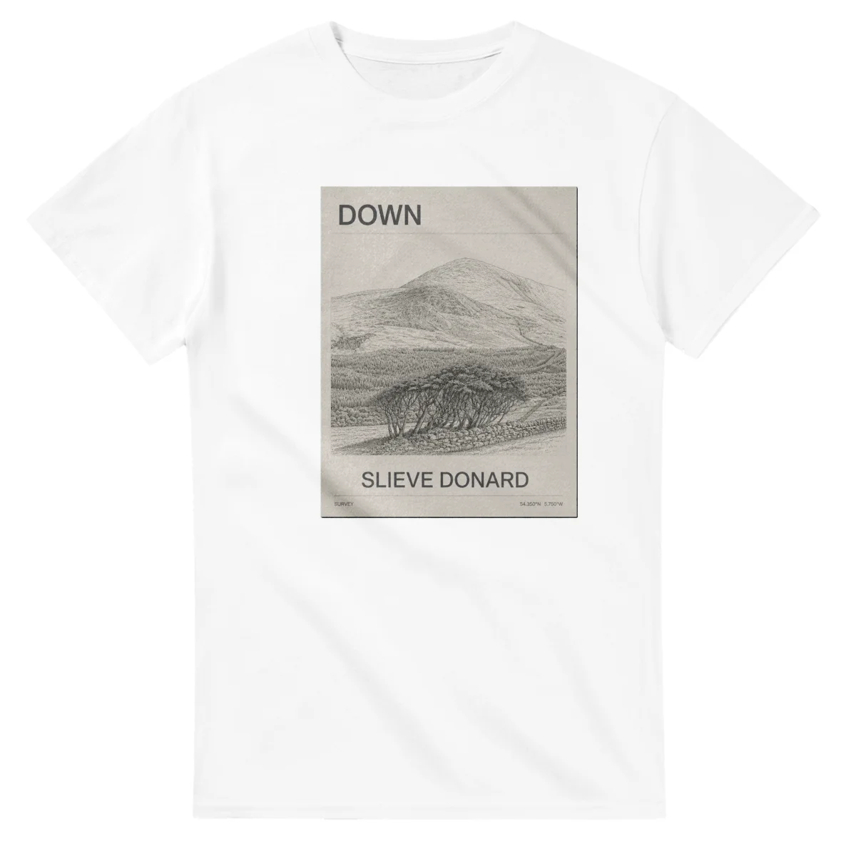 Fine-line engraving-style drawing for Down, with a landmark caption and small coordinate text.