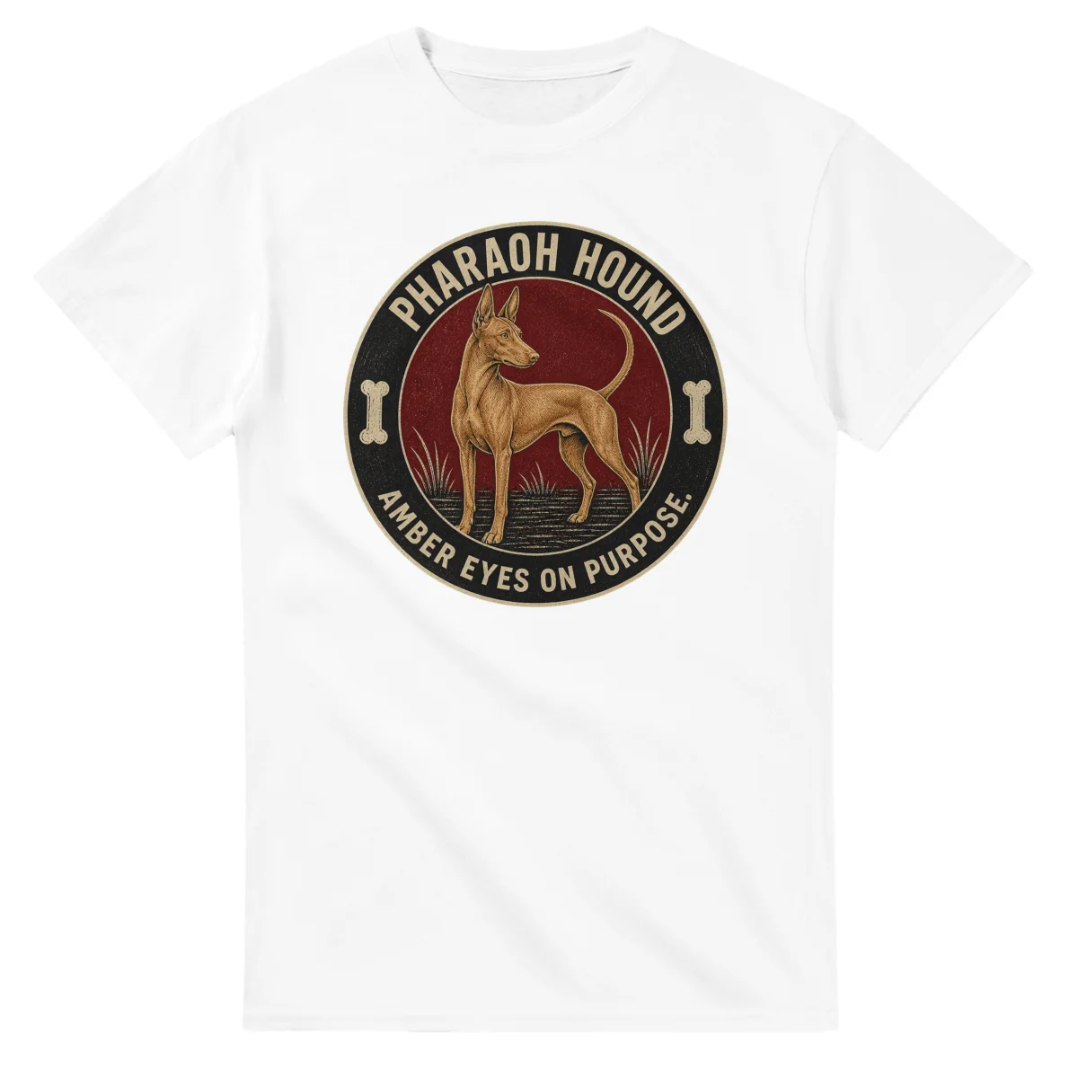 Pharaoh Hound - Amber Eyes on Purpose