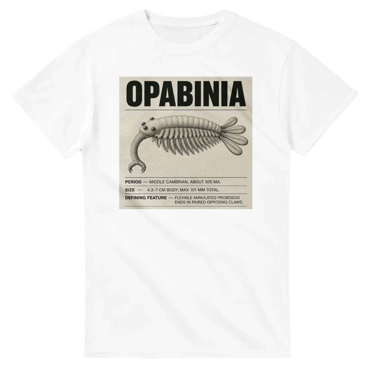 Opabinia - Set in Stone