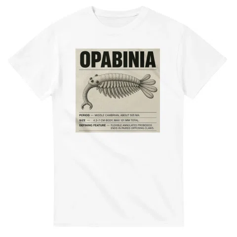 Opabinia - Set in Stone