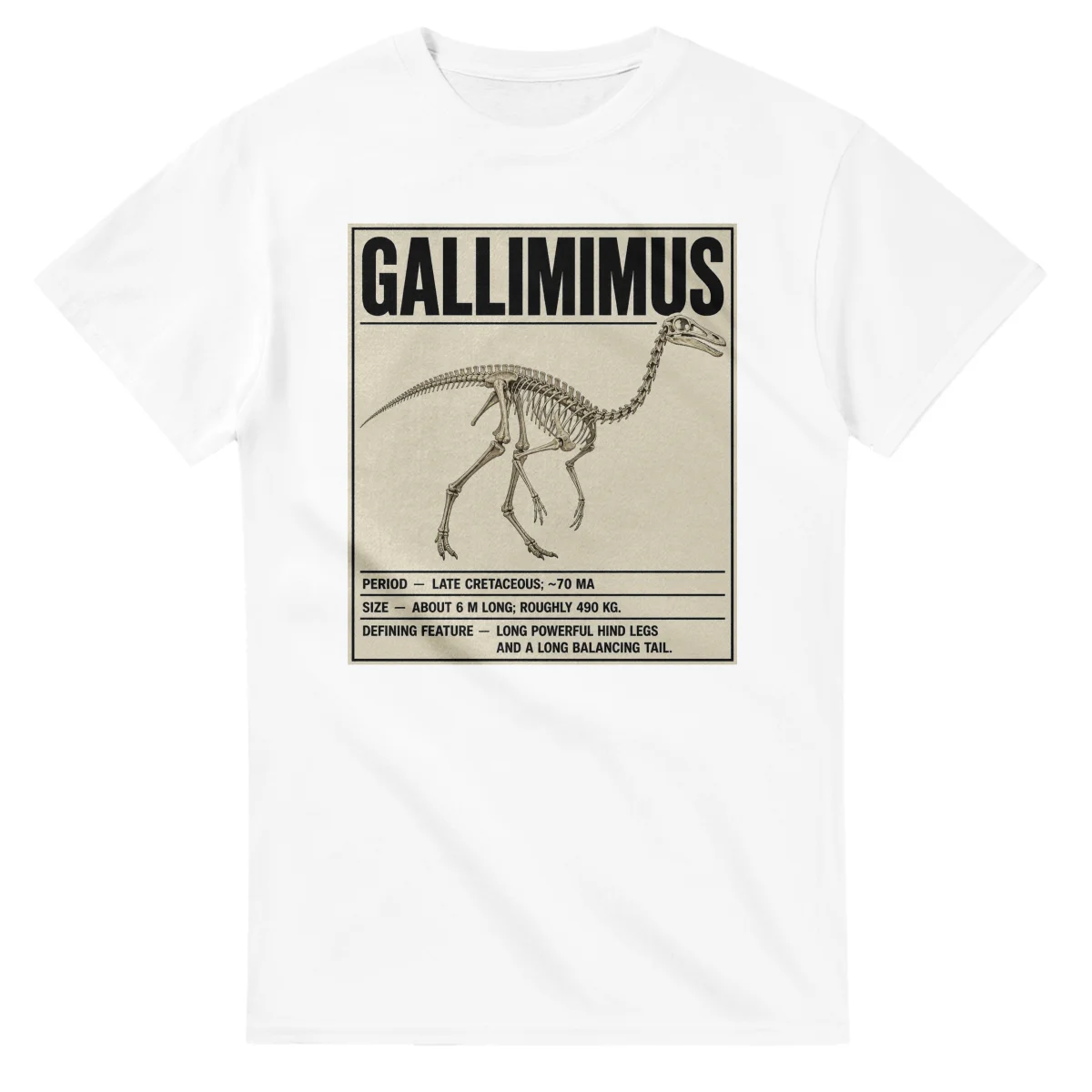 Gallimimus - Set in Stone