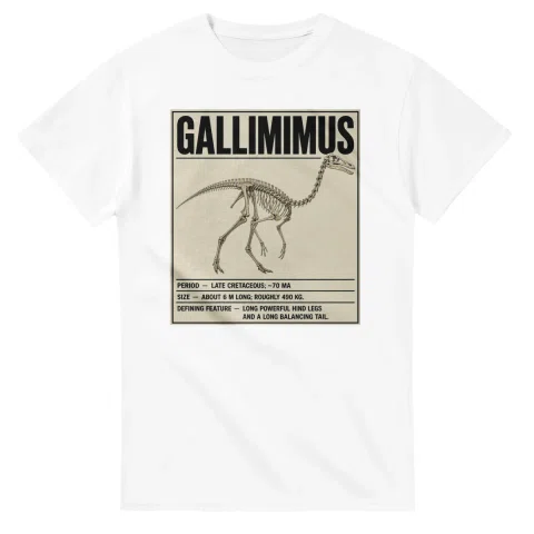 Gallimimus - Set in Stone