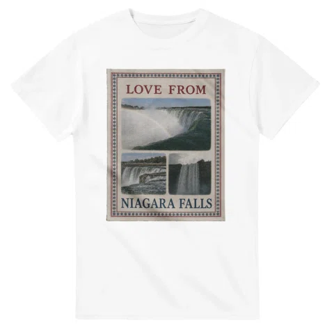 Framed scenic design for Niagara Falls, with several local views, a decorative border and LOVE FROM lettering.