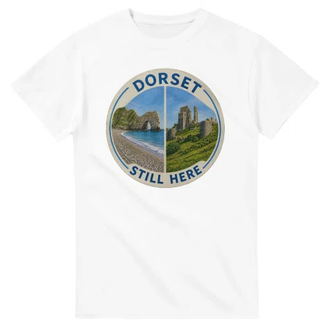 Painted, panelled scenic illustration for Dorset, with paired local scenes and the place name in lettering.