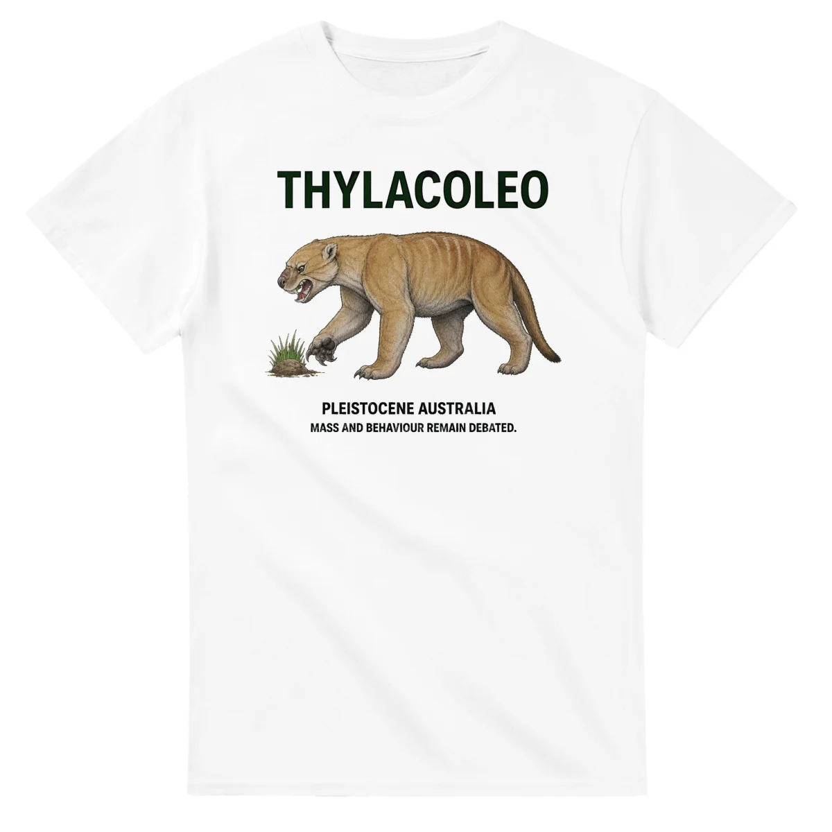 Thylacoleo - Artist's Impression