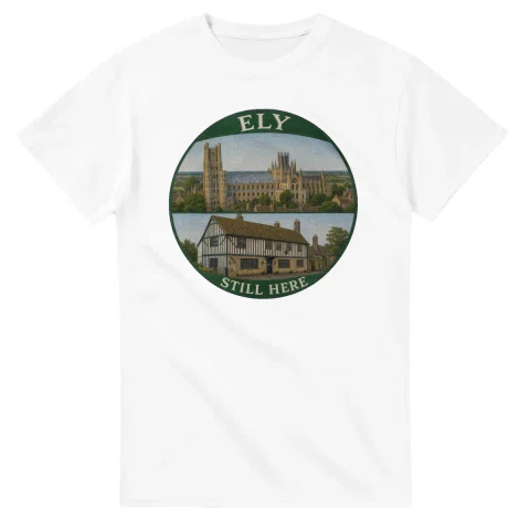 Painted, panelled scenic illustration for Ely, with paired local scenes and the place name in lettering.