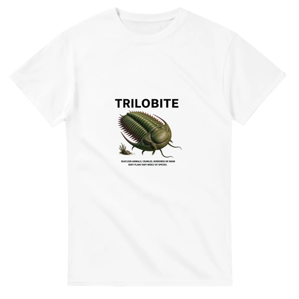 Trilobite - Artist's Impression
