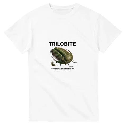 Trilobite - Artist's Impression