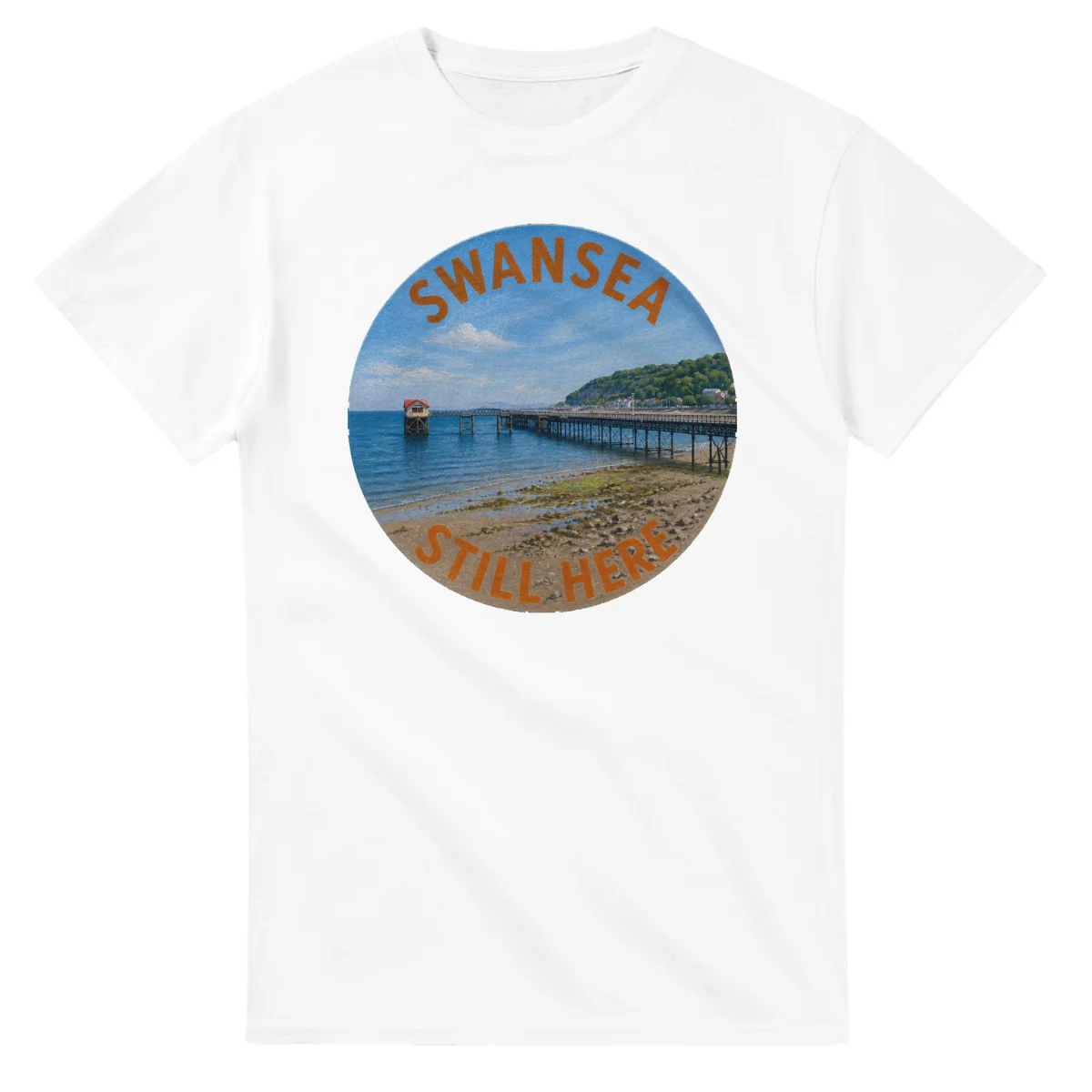 Painted, panelled scenic illustration for Swansea, with paired local scenes and the place name in lettering.