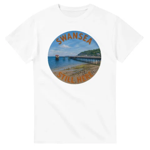 Painted, panelled scenic illustration for Swansea, with paired local scenes and the place name in lettering.