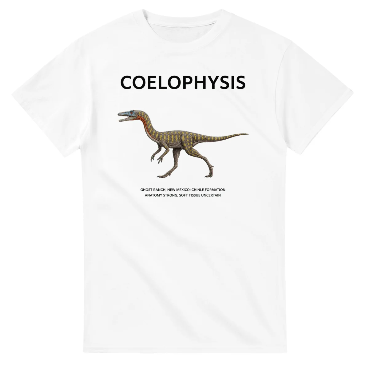 Coelophysis - Artist's Impression