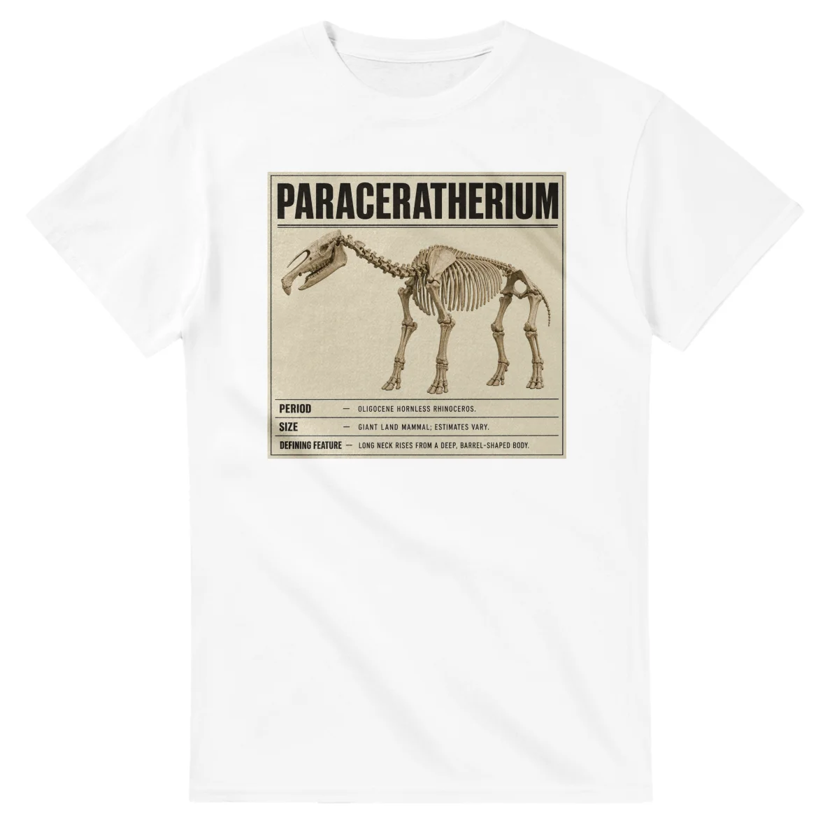 Paraceratherium - Set in Stone