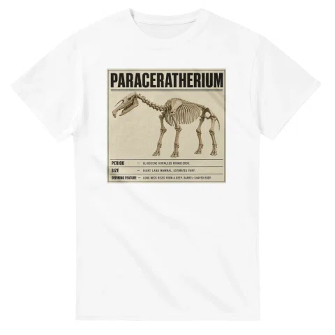 Paraceratherium - Set in Stone