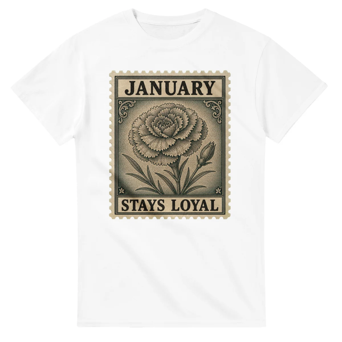 January Carnation - Stays Loyal (First Class)