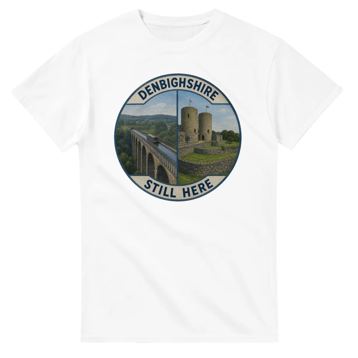 Painted, panelled scenic illustration for Denbighshire, with paired local scenes and the place name in lettering.