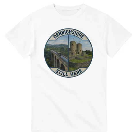 Painted, panelled scenic illustration for Denbighshire, with paired local scenes and the place name in lettering.