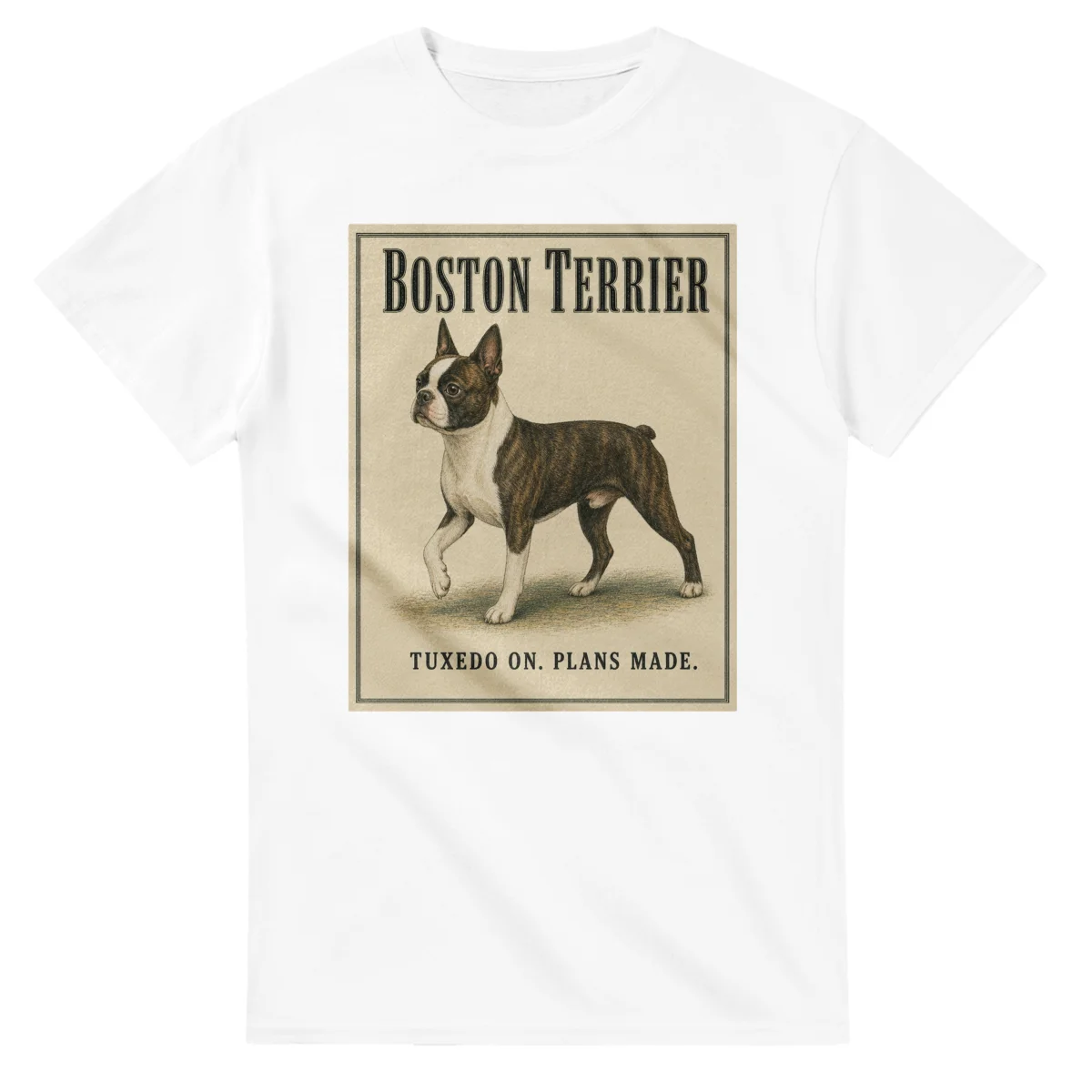 Boston Terrier - Well Bred