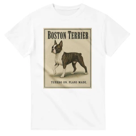 Boston Terrier - Well Bred