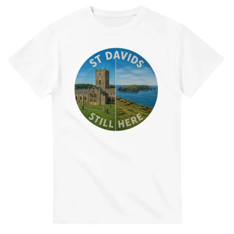 Painted, panelled scenic illustration for St Davids, with paired local scenes and the place name in lettering.
