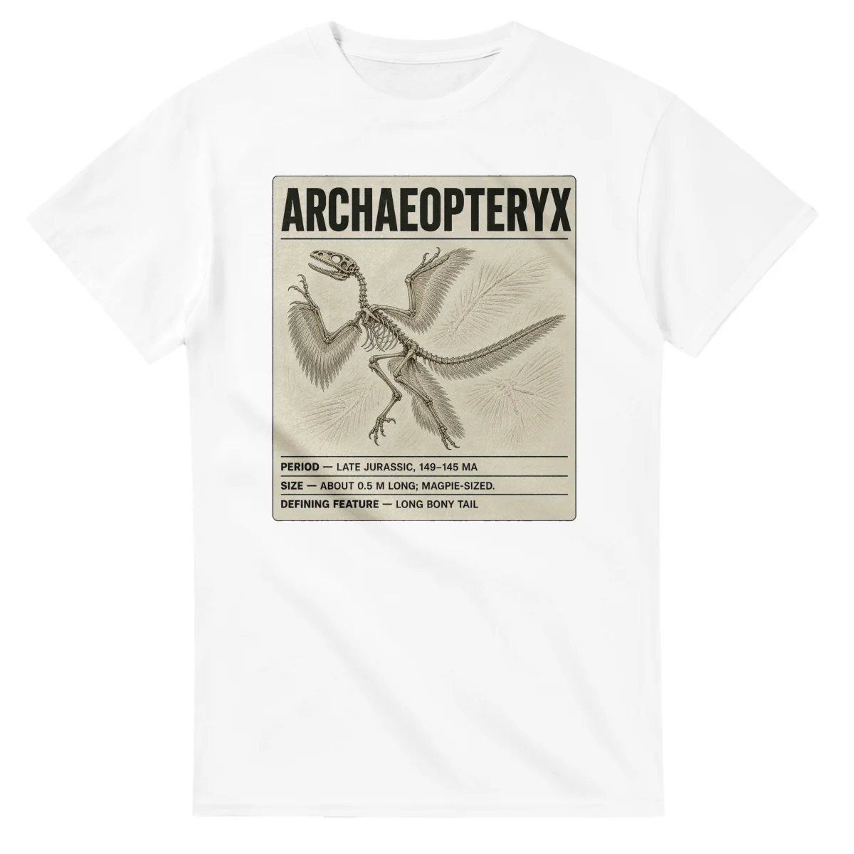 Archaeopteryx - Set in Stone