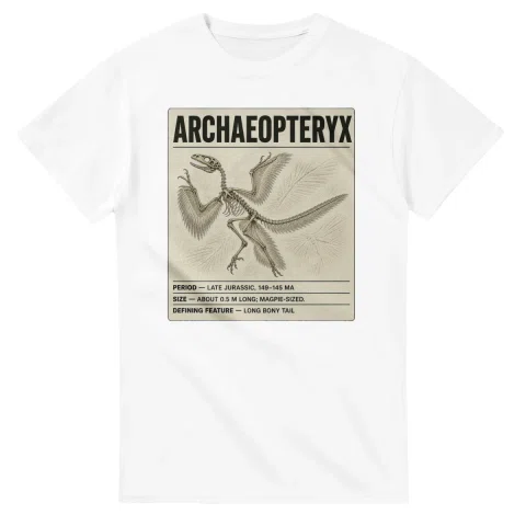 Archaeopteryx - Set in Stone