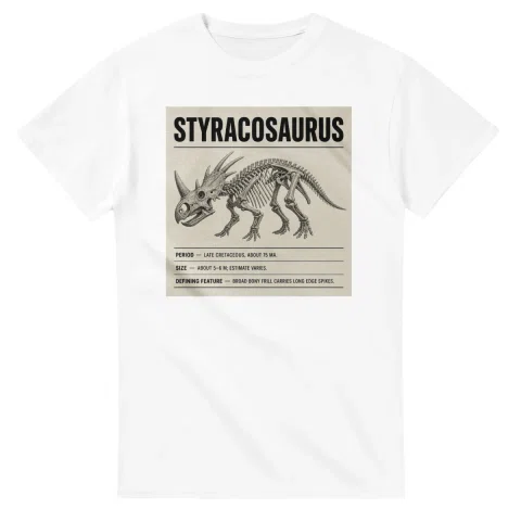 Styracosaurus - Set in Stone