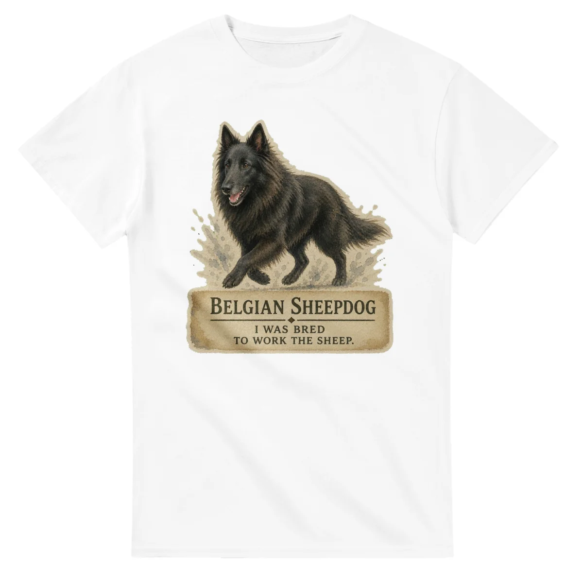 Belgian Sheepdog - Working Roots