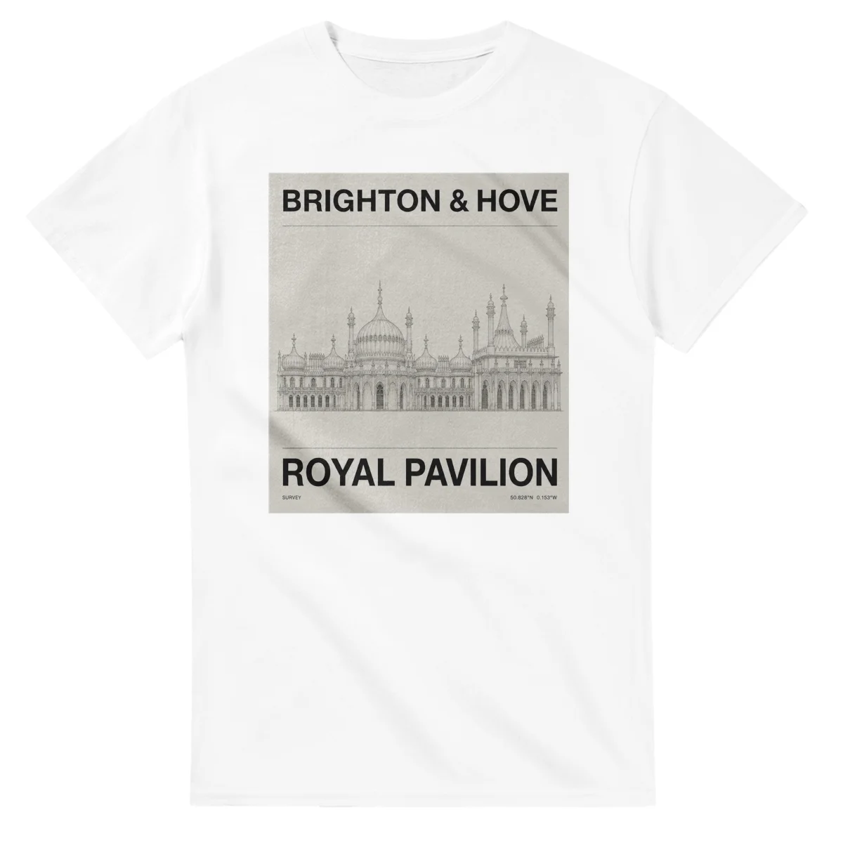 Brighton & Hove - The Details