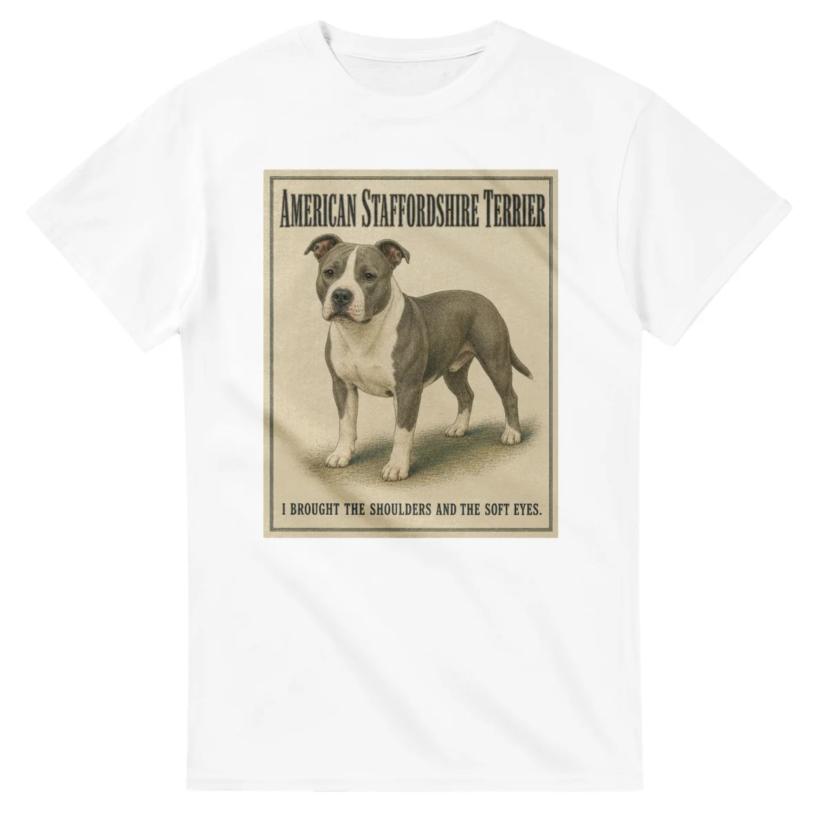 American Staffordshire Terrier - Well Bred