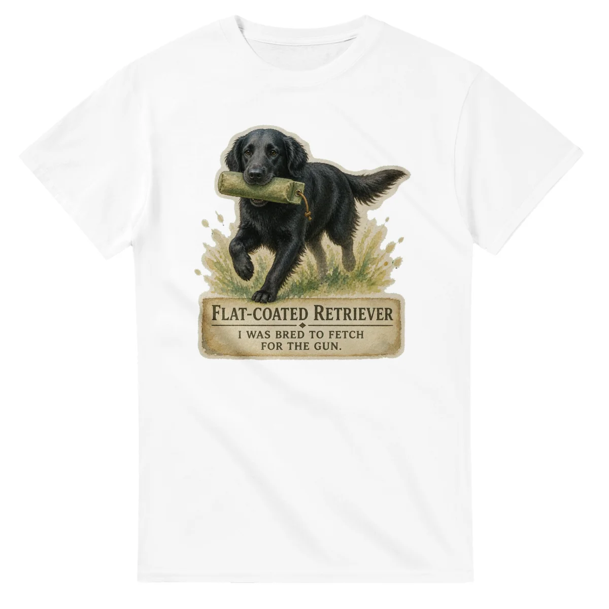 Flat-Coated Retriever - Working Roots