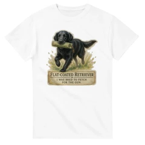 Flat-Coated Retriever - Working Roots