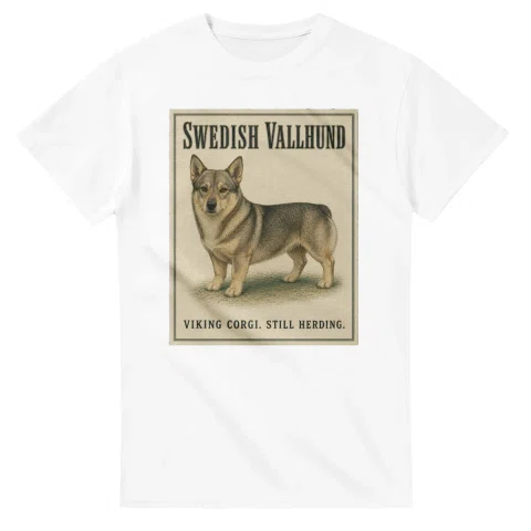 Swedish Vallhund - Well Bred