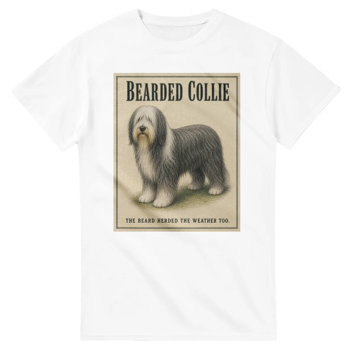 Bearded Collie - Well Bred