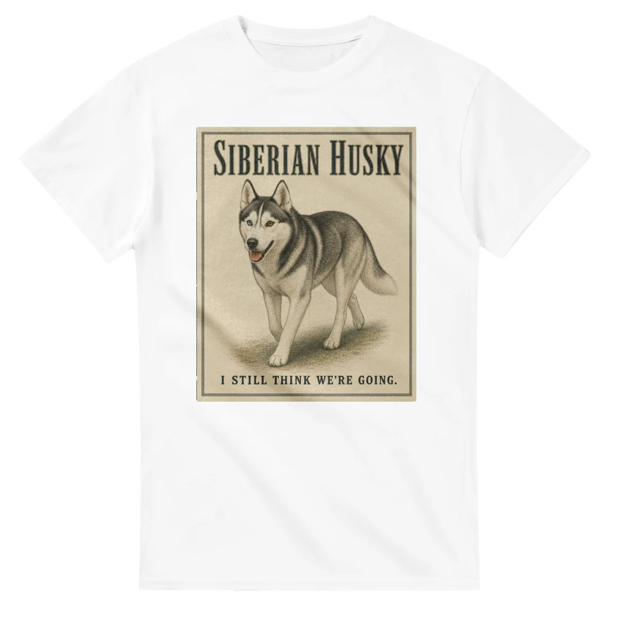 Siberian Husky - Well Bred