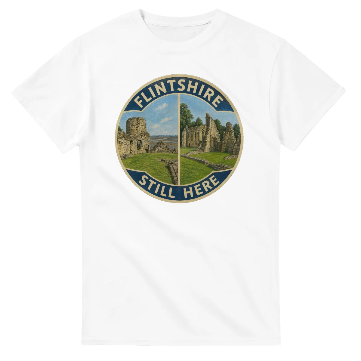 Painted, panelled scenic illustration for Flintshire, with paired local scenes and the place name in lettering.