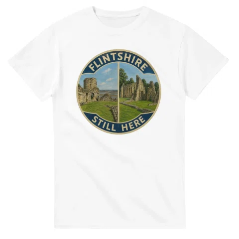 Painted, panelled scenic illustration for Flintshire, with paired local scenes and the place name in lettering.