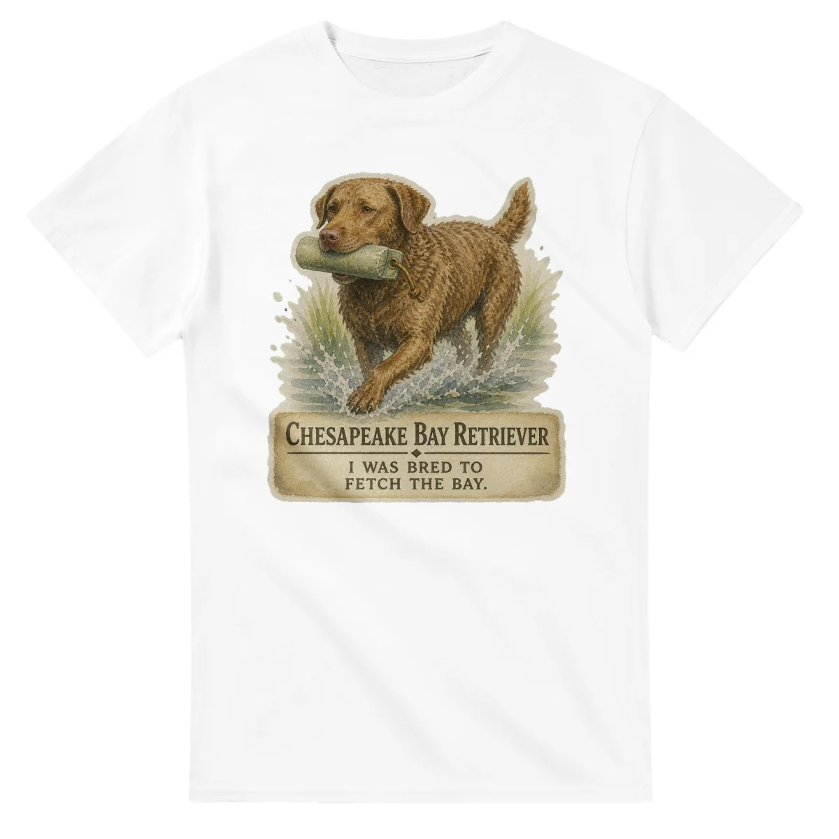 Chesapeake Bay Retriever - Working Roots