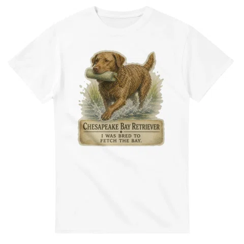 Chesapeake Bay Retriever - Working Roots